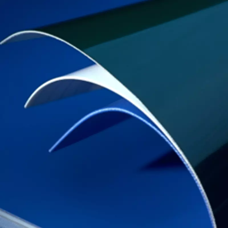 Process & Conveyor Belts