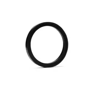 Oil seal